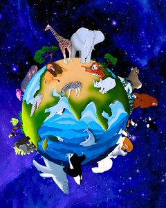 animal around the world